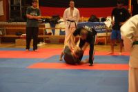 Bild (12)